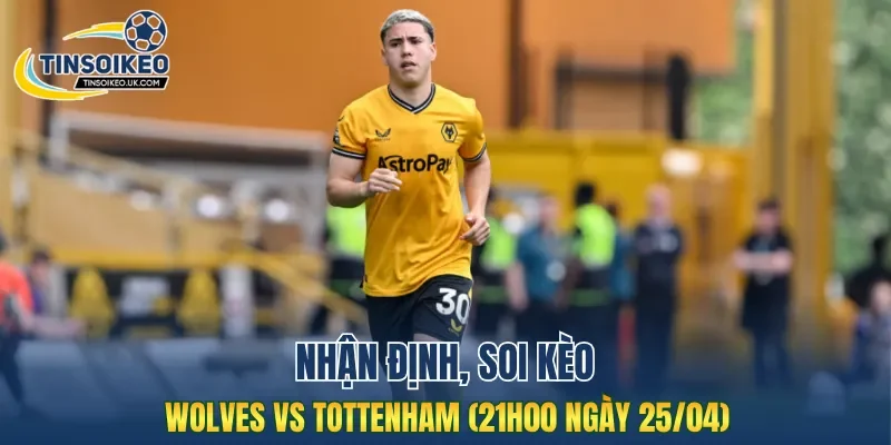 Cuộc so tài Wolves vs Tottenham hứa hẹn căng thẳng và hấp dẫn