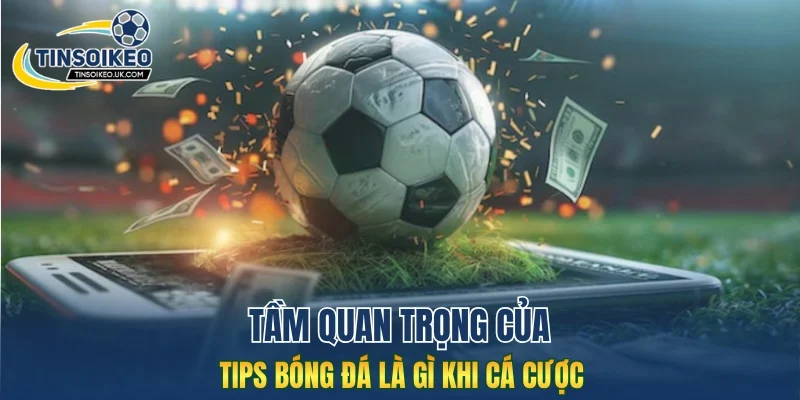 Tầm quan trọng của tips bóng đá là gì khi cá cược