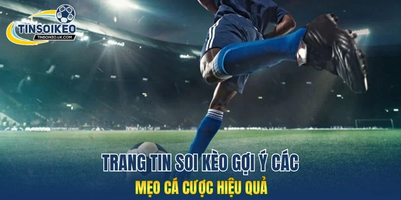 Trang tin soi kèo gợi ý các mẹo cá cược hiệu quả
